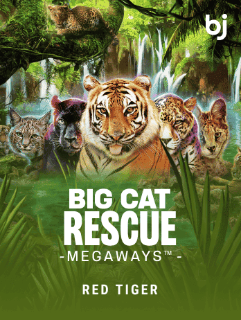 Big Cat Rescue Megaways™ game icon